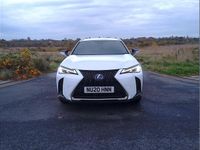 Used Lexus UX 250h Sport Line 180 HP (132 kW) 2020 White SUV