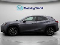 Used Lexus UX Sport Line 184 HP (135 kW) 2021 Grey SUV