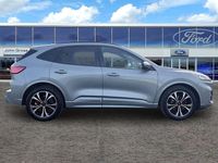 Used Ford Kuga ST-Line X 2023 Silver SUV