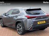 Used Lexus UX 250h 184 HP (135 kW) 2024 SUV