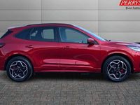 Used Ford Kuga ST-Line X 242 HP (177 kW) 2025 SUV