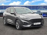 Used Ford Kuga ST-Line 2023 Grey SUV
