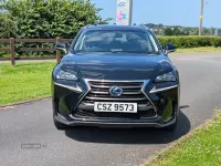 Used Lexus NX300h Luxury Line 197 HP (144 kW) 2015 Black SUV
