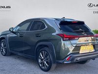 Used Lexus UX 250h Sport Design Packet 184 HP (135 kW) 2023 Green SUV