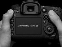 Used Kia Picanto 66 HP (48 kW) 2016 Pink Hatchback