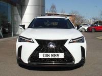 Used Lexus UX 250h Sport Line 180 HP (132 kW) 2020 White SUV
