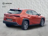 Used Lexus UX 300e 150 kW (204 HP) 2024 Orange SUV