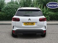 Used Citroën C5 Aircross 131 HP (96 kW) 2025 White SUV