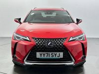 Used Lexus UX 250h 184 HP (135 kW) 2024 SUV