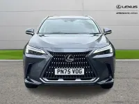 Used Lexus NX350h 240 HP (176 kW) 2025 Grey SUV