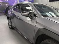 Used Lexus UX 150 kW (204 HP) 2022 SUV