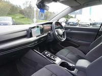 Used VW Golf VIII 150 HP (110 kW) 2023