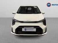 Used Kia Picanto 63 HP (46 kW) 2024 White Hatchback