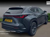 Used Lexus NX350h 2023 Grey Estate