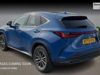 Used Lexus NX350h 2022 Blue Estate