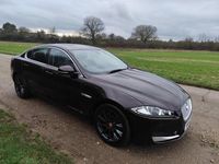 Used Jaguar XF Premium Luxury 2014 Red Sedan