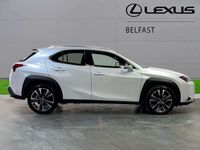 used Lexus UX HATCHBACK