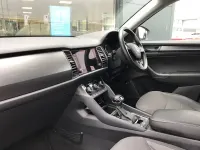 Used Skoda Kodiaq SE 150 HP (110 kW) 2019 Grey SUV