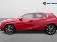 Used Lexus UX 250h Sport Line 2024 Red SUV