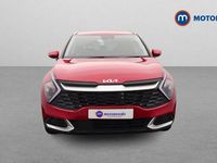 Used Kia Sportage 209 HP (153 kW) 2024 SUV