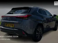 Used Lexus UX Sport Line 184 HP (135 kW) 2022 SUV