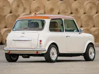 Used Rover Mini 97 HP (71 kW) 1991 Beige Hatchback