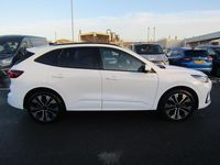 Used Ford Kuga ST-Line X 2025 White SUV