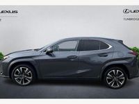Used Lexus UX 250h 184 HP (135 kW) 2024 SUV