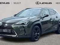 Used Lexus UX 250h 184 HP (135 kW) 2024 SUV