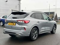 Used Ford Kuga ST-Line 2023 Silver SUV