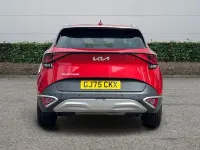 Used Kia Sportage 136 HP (100 kW) 2025 Red SUV