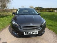 Used Ford Focus Titanium 2016 Grey Hatchback