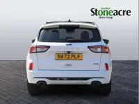 Used Ford Kuga ST-Line X 225 HP (165 kW) 2022 White SUV