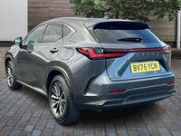 Used Lexus NX350h 2025 Grey Estate