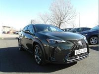Used Lexus UX 250h Sport Design Packet 180 HP (132 kW) 2023 Green SUV