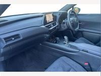 Used Lexus UX 300e 150 kW (204 HP) 2025 Grey SUV