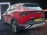 Used Kia Sportage 209 HP (153 kW) 2024 Red SUV