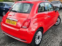 Used Fiat 500 Lounge 69 HP (50 kW) 2016 Pink Hatchback