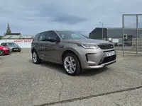 Used Land Rover Discovery Sport Urban Edition 309 HP (227 kW) 2022 Bronze SUV