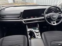 Used Kia Sportage 157 HP (115 kW) 2024 Black SUV