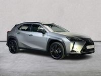 Used Lexus UX 250h 2022 Silver SUV