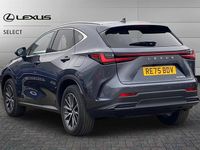Used Lexus NX350h 243 HP (178 kW) 2025 Grey SUV