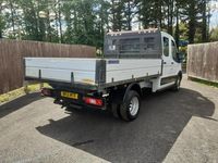 Used Ford Transit 130 HP (95 kW) 2021 White Sedan