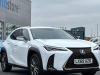 Used Lexus UX 250h Sport Line 184 HP (135 kW) 2022 SUV