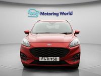 Used Ford Kuga ST-Line 225 HP (165 kW) 2021 Red SUV