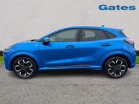 Used Ford Puma ST-Line X 125 HP (91 kW) 2024 Blue SUV