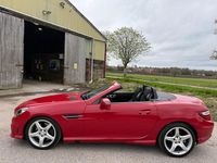 Used Mercedes SLK250 AMG 2014 Red Cabriolet