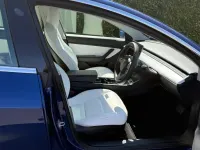 Used Tesla Model 3 Standard Range 239 kW (325 HP) 2019 Blue Sedan