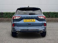 Used Ford Kuga ST-Line 150 HP (110 kW) 2023 Blue SUV