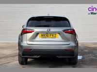 Used Lexus NX300h Sport Line 194 HP (142 kW) 2016 Silver SUV